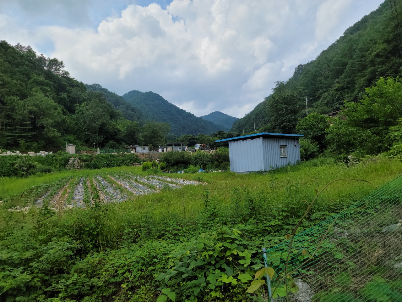 금수면 청정지역 텃밭 농막매매 사진 - 2