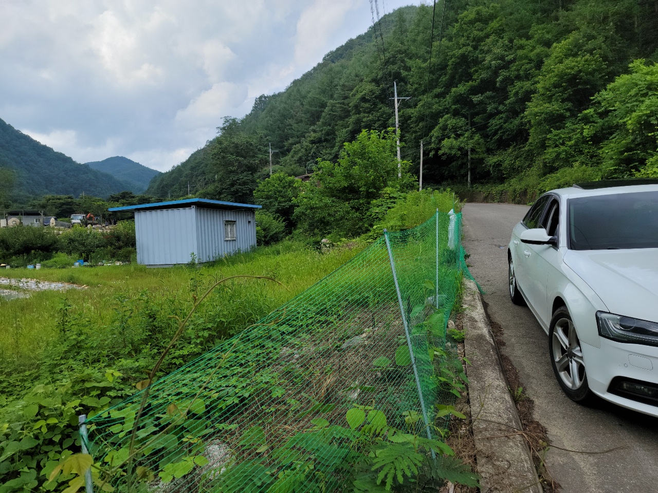 금수면 청정지역 텃밭 농막매매 사진 - 3