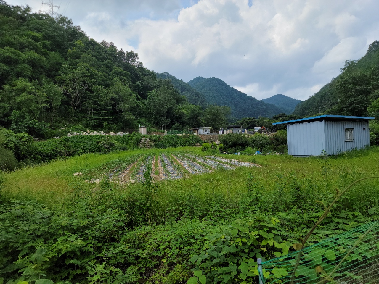금수면 청정지역 텃밭 농막매매 사진 - 4