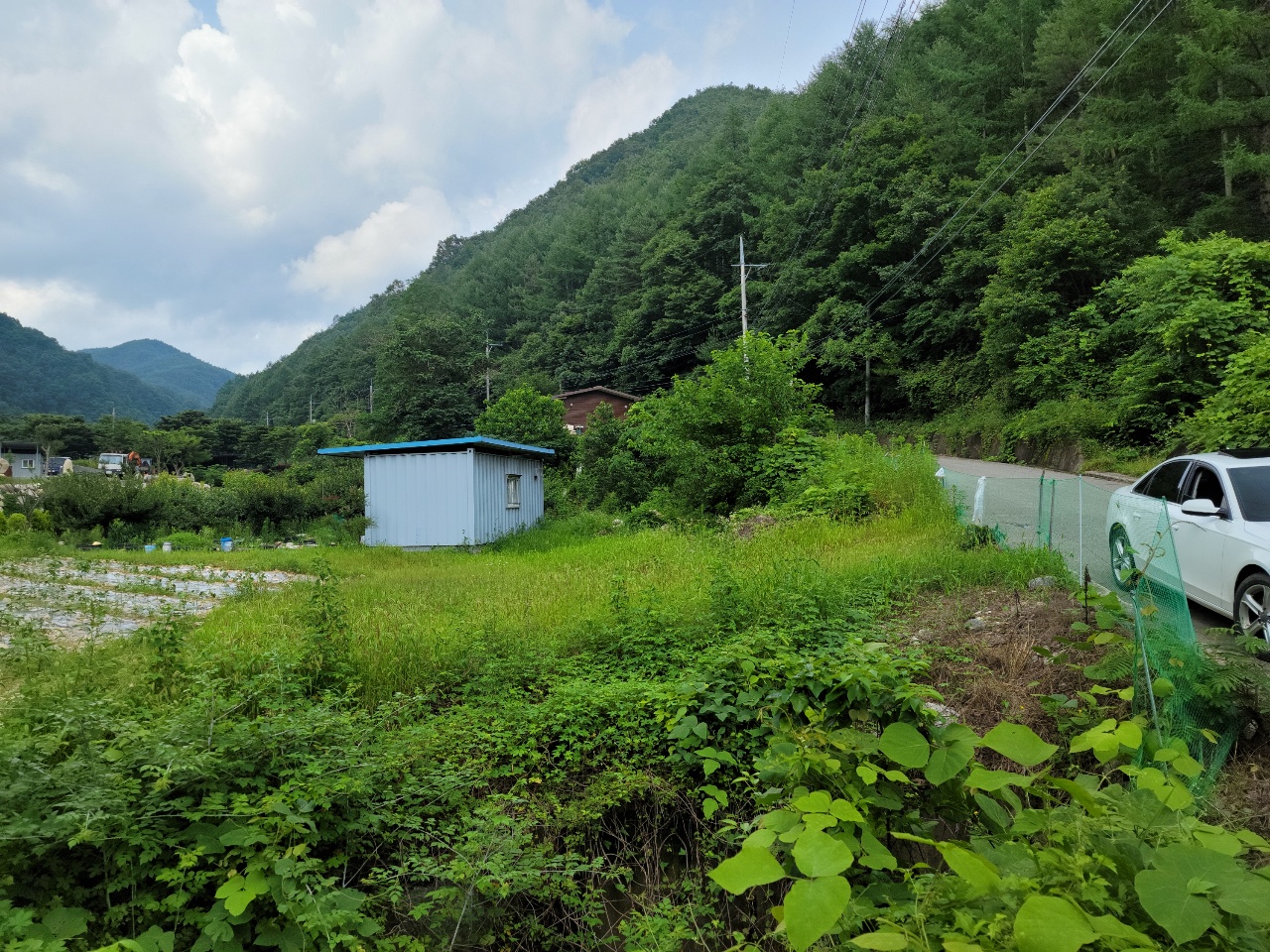 금수면 청정지역 텃밭 농막매매 사진 - 6