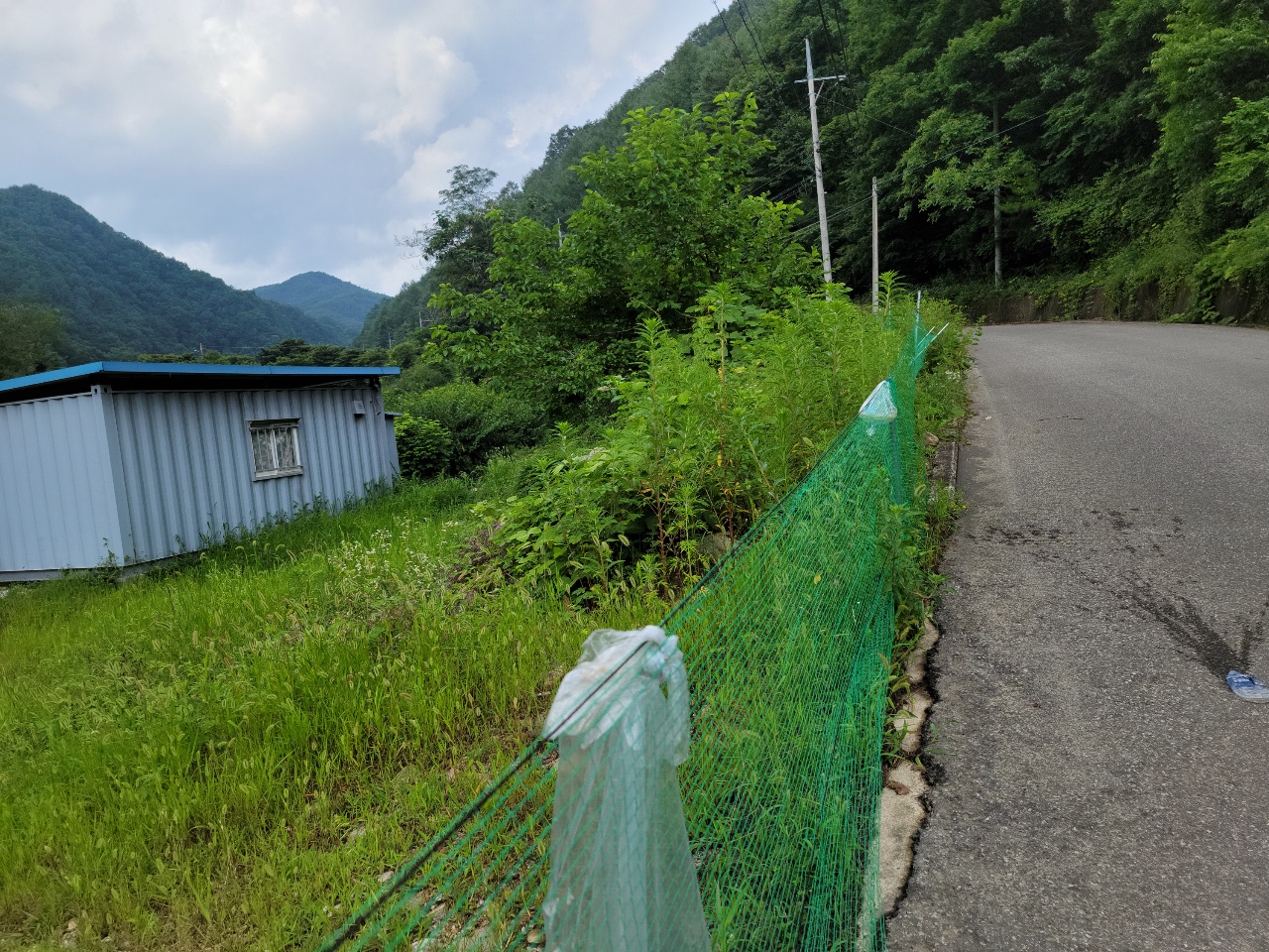 금수면 청정지역 텃밭 농막매매 사진 - 7