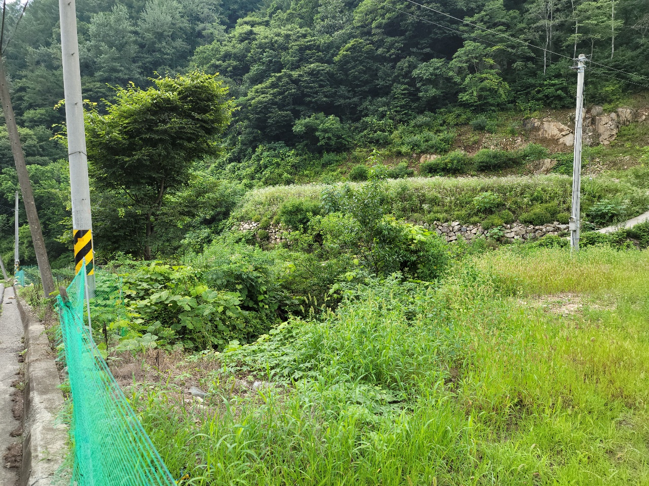 금수면 청정지역 텃밭 농막매매 사진 - 8