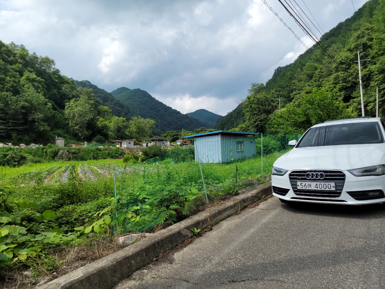 금수면 청정지역 텃밭 농막매매 사진 - 13