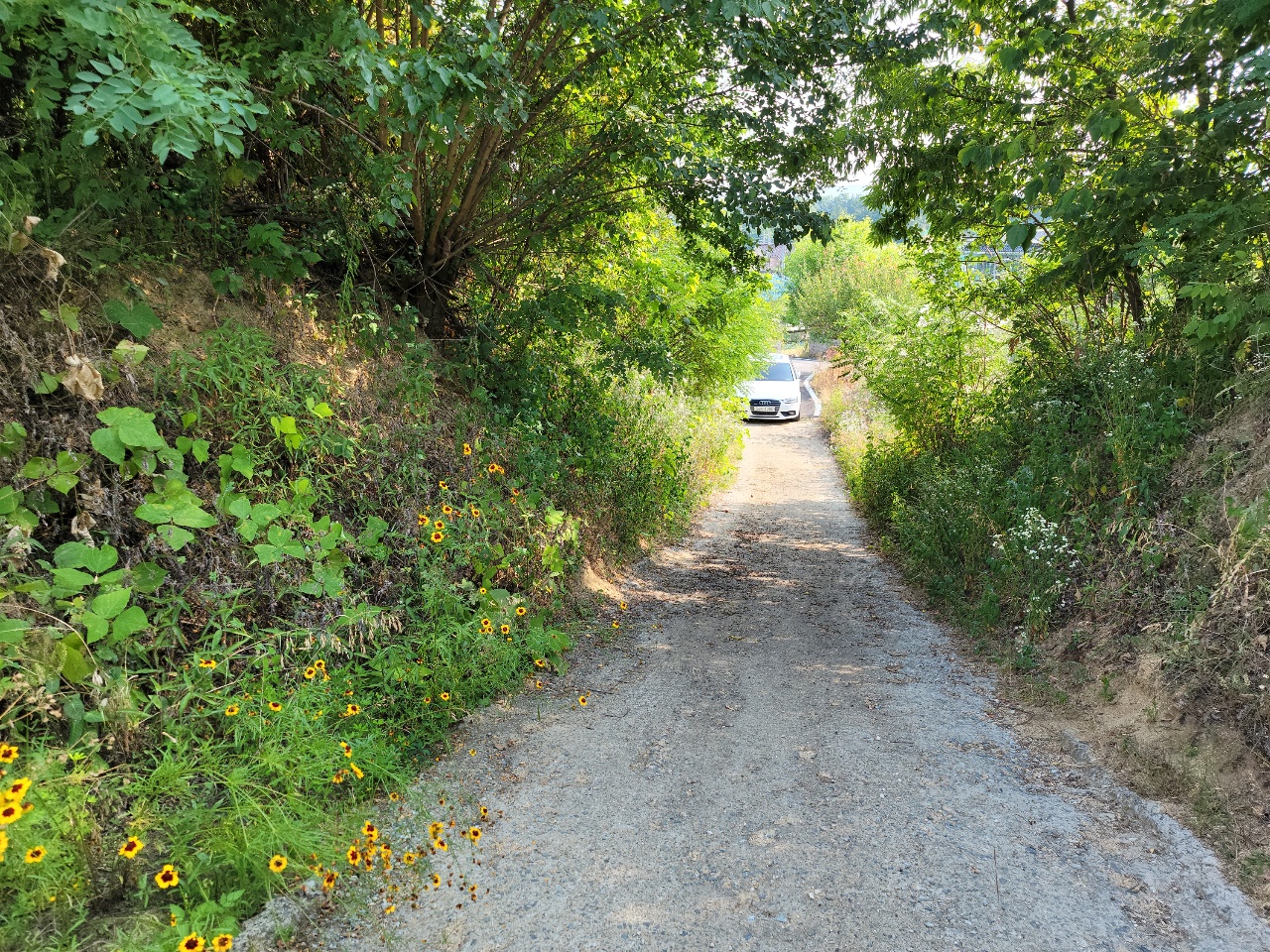 월항면 전망좋은 관리지역 매매 사진 - 10