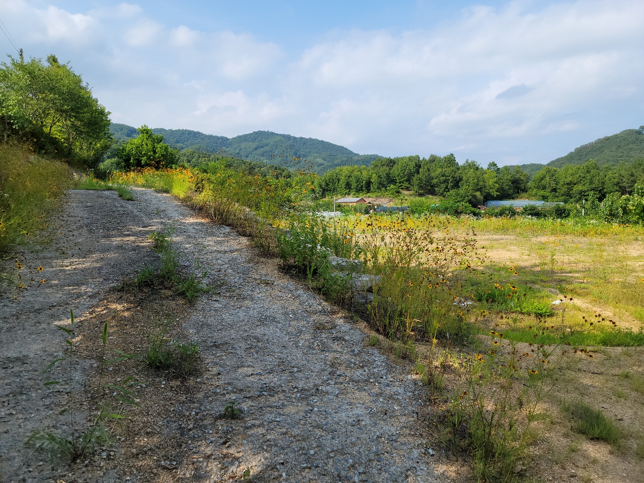 월항면 전망좋은 관리지역 매매 사진 - 7