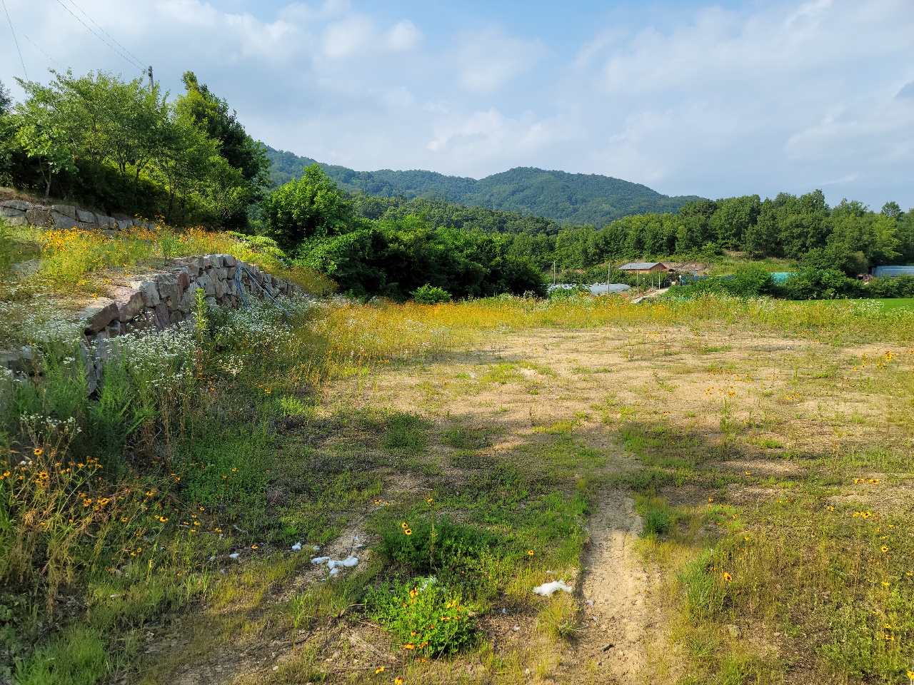 월항면 전망좋은 관리지역 매매 사진 - 8