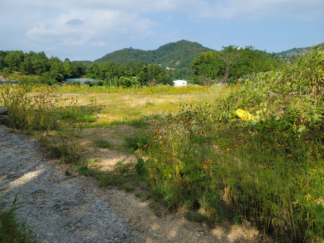 월항면 전망좋은 관리지역 매매 사진 - 9