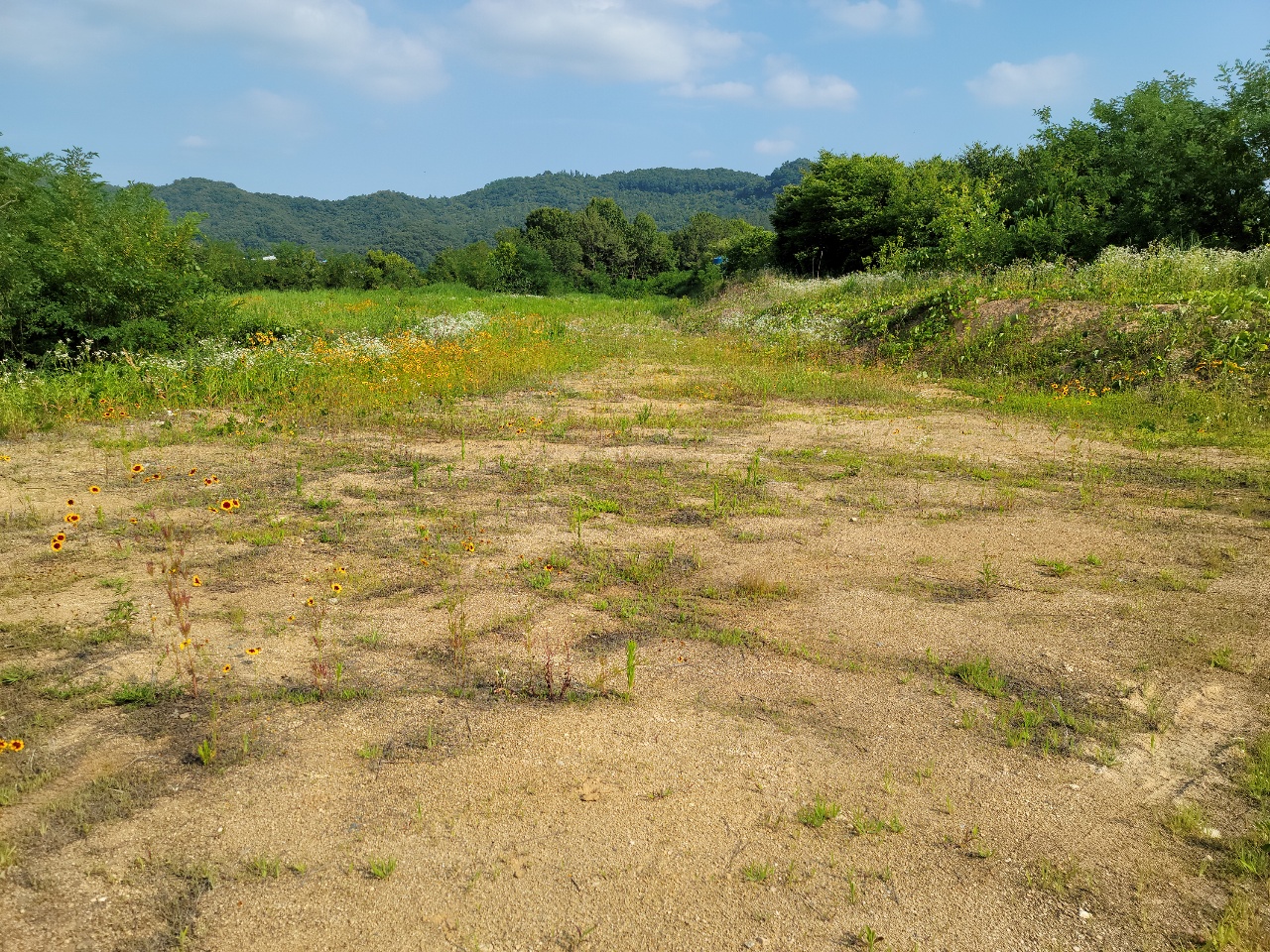 월항면 전망좋은 관리지역 매매 사진 - 5