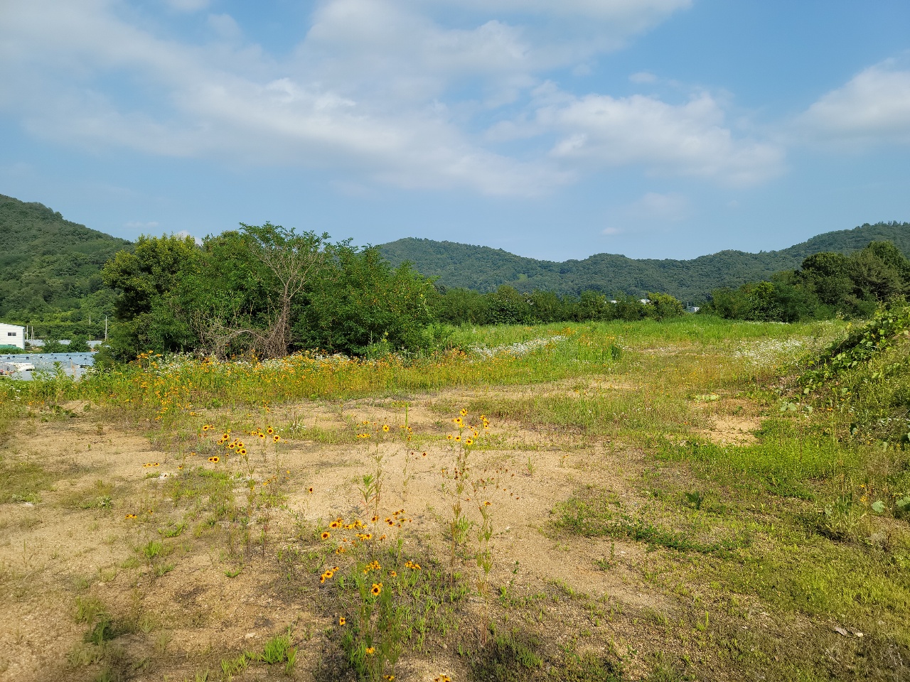월항면 전망좋은 관리지역 매매 사진 - 4