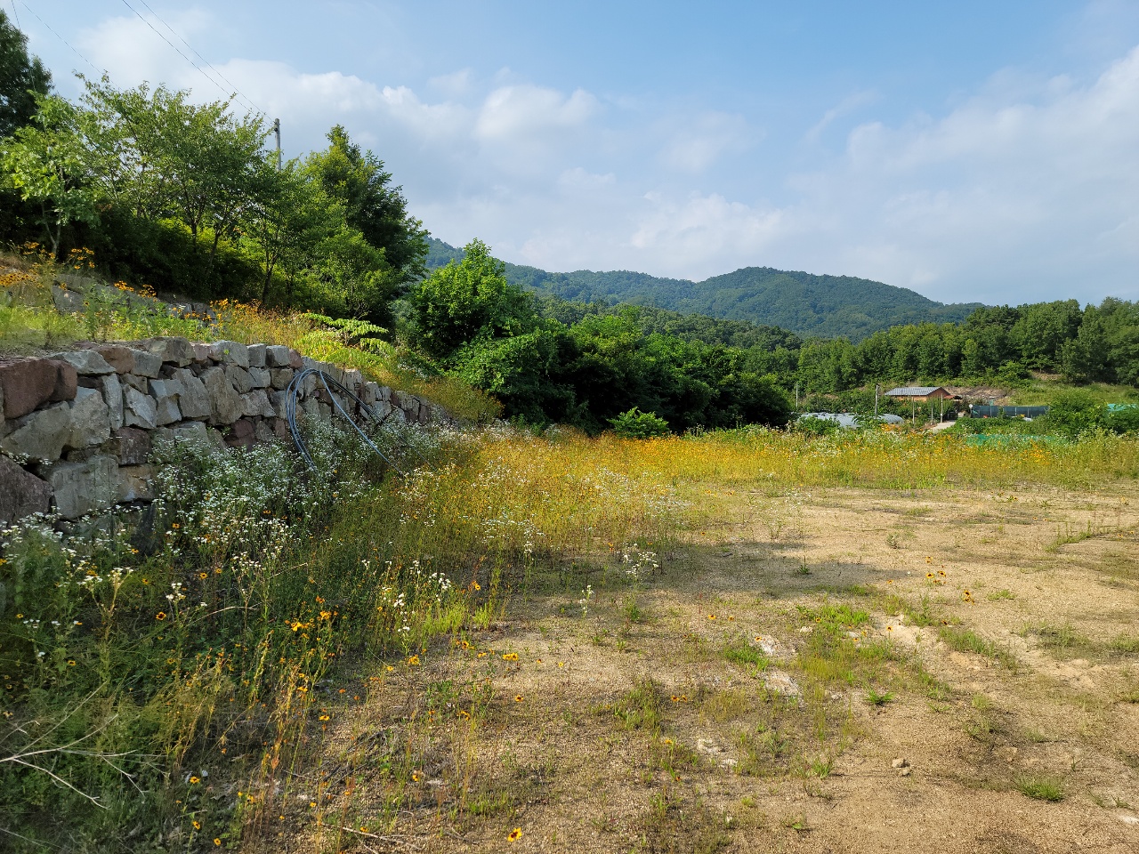 월항면 전망좋은 관리지역 매매 사진 - 3