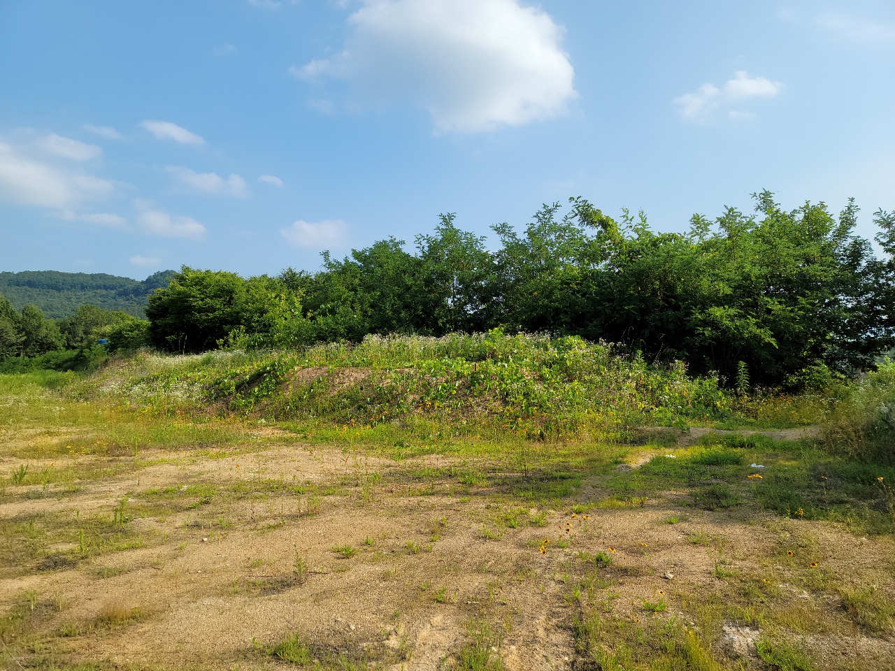 월항면 전망좋은 관리지역 매매 사진 - 2