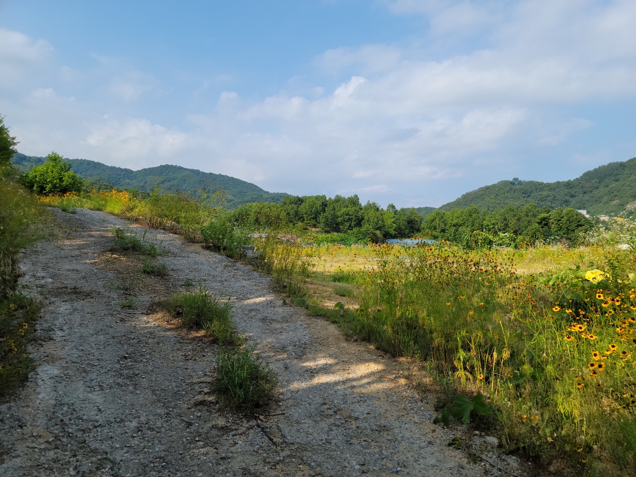 월항면 전망좋은 관리지역 매매 사진 - 15