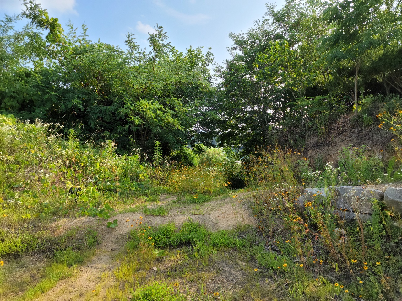 월항면 전망좋은 관리지역 매매 사진 - 17