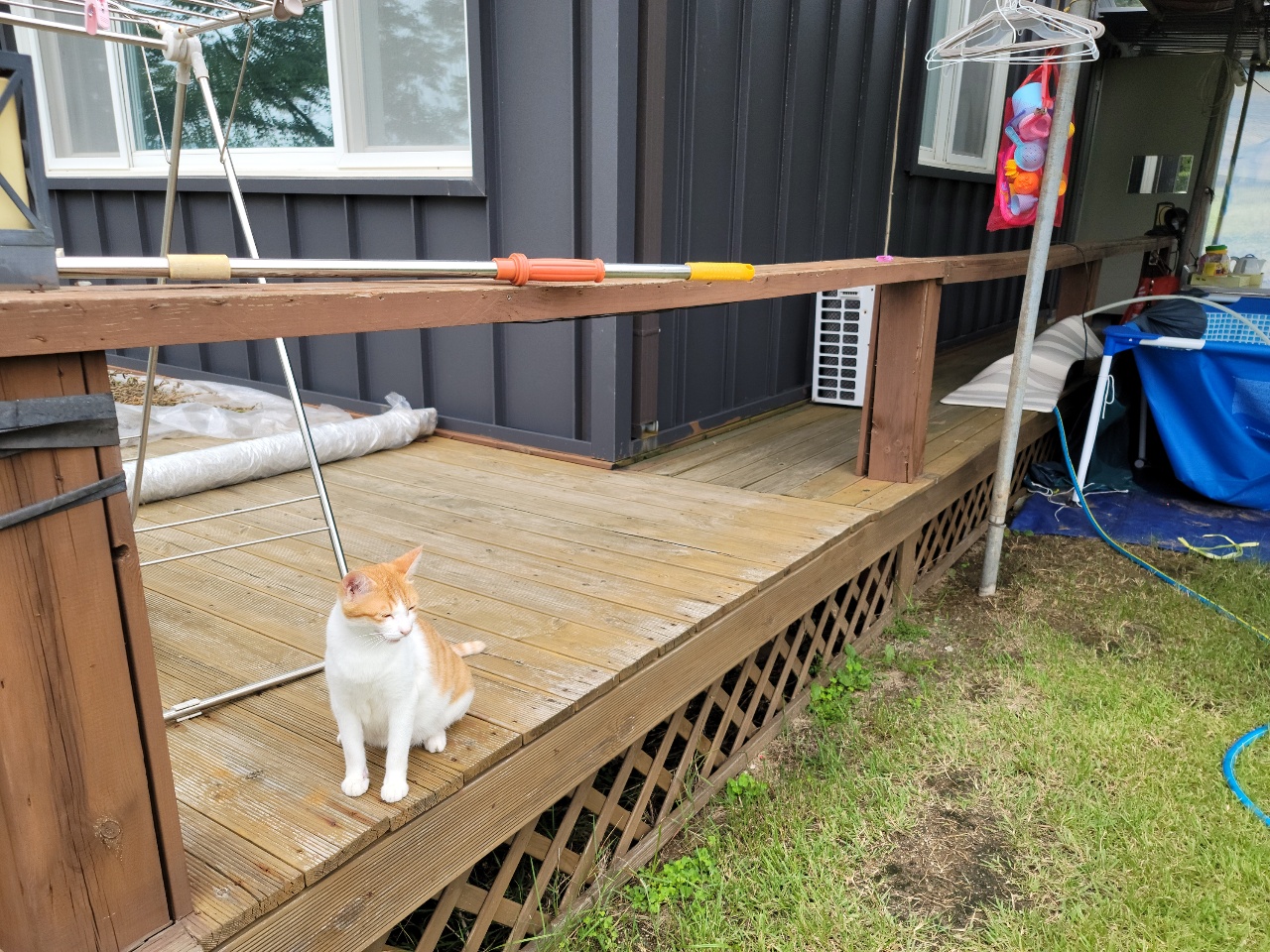 성주읍 전원주택 매매 사진 - 28