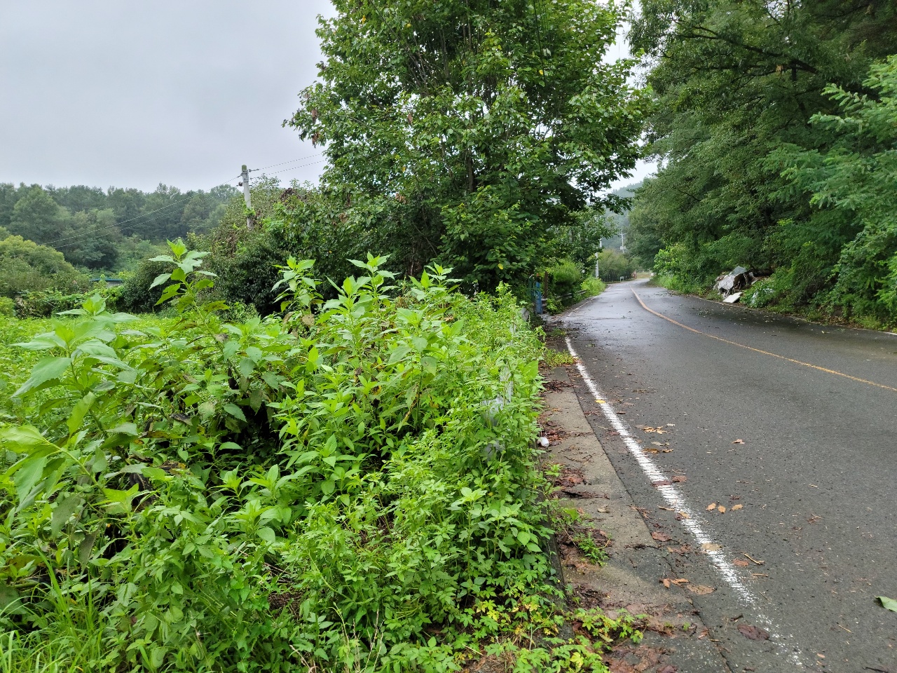 고령군 전원주택지 사진 - 6