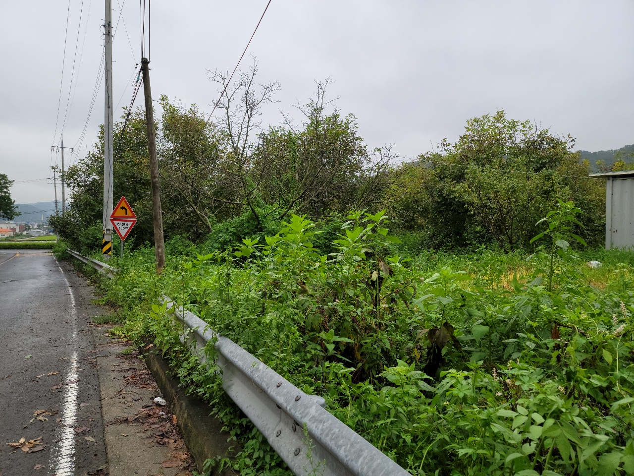 고령군 전원주택지 사진 - 5