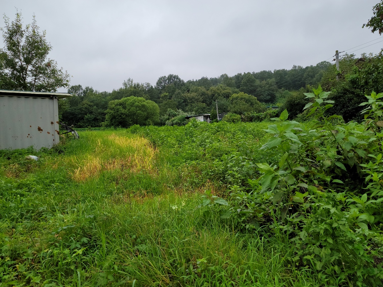 고령군 전원주택지 사진 - 4