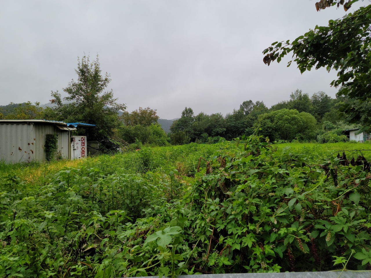 고령군 전원주택지 사진 - 3