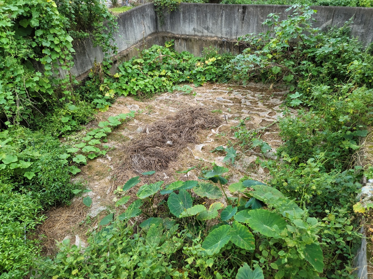 성주읍 주택매매 사진 - 19