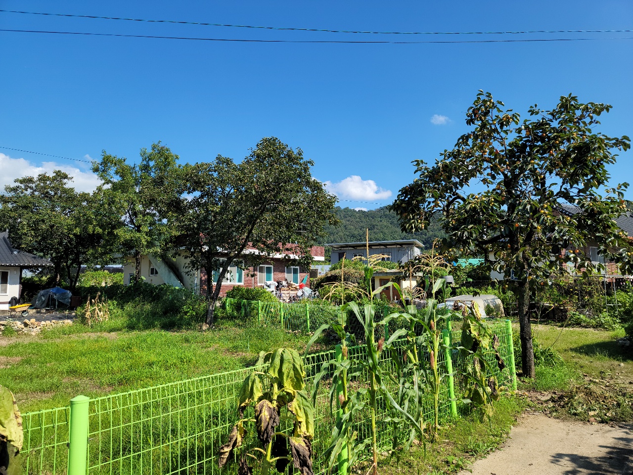 월항면 시골집+주택매매 사진 - 11