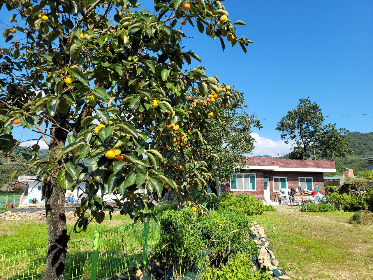 월항면 시골집+주택매매 사진 - 14