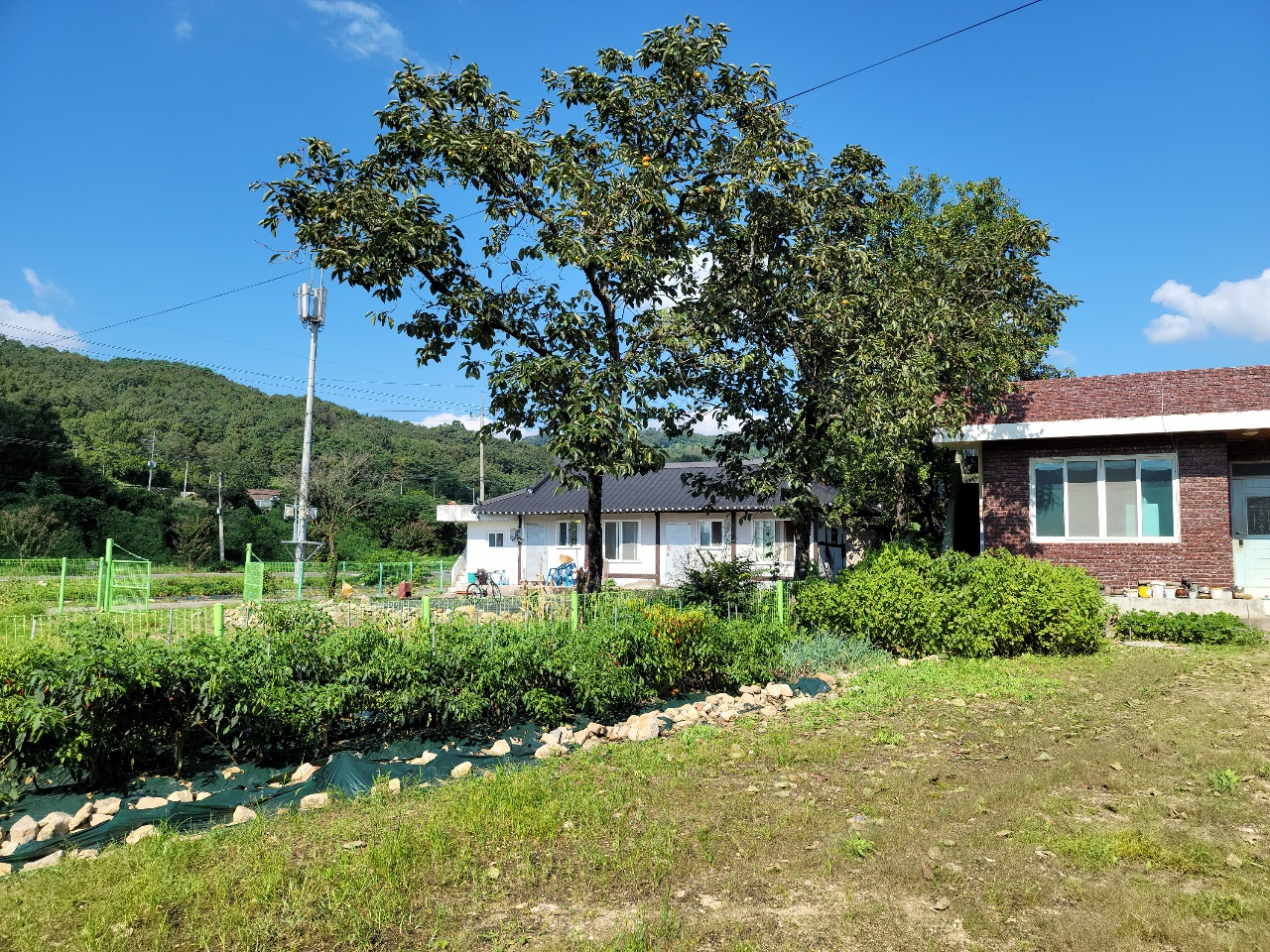 월항면 시골집+주택매매 사진 - 15