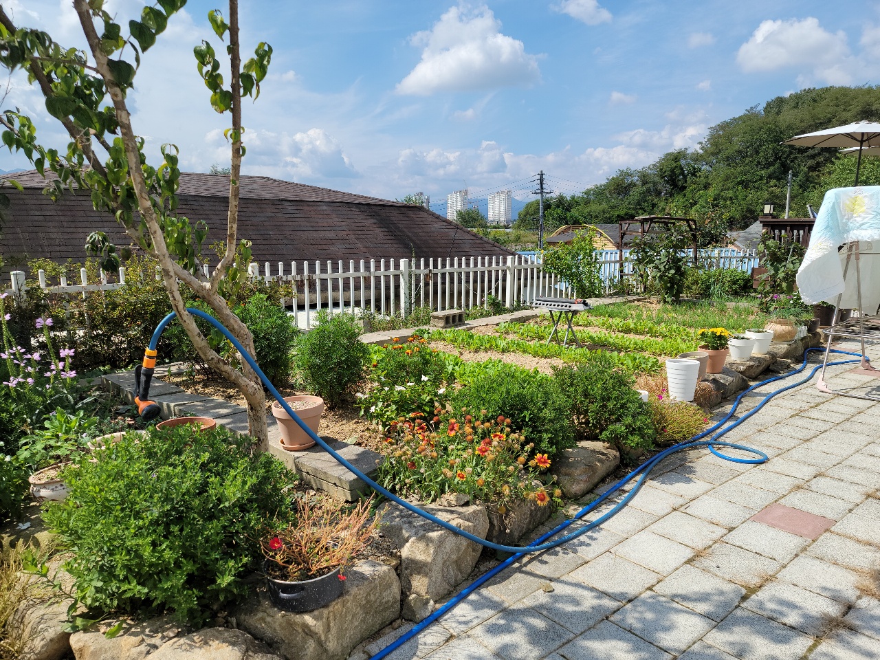 성주읍 2층 전원주택 매매 사진 - 8