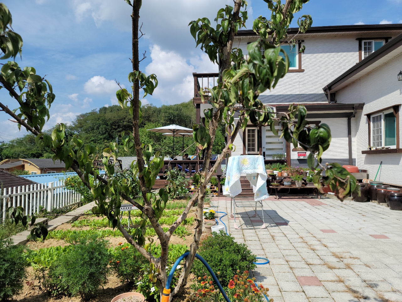 성주읍 2층 전원주택 매매 사진 - 4