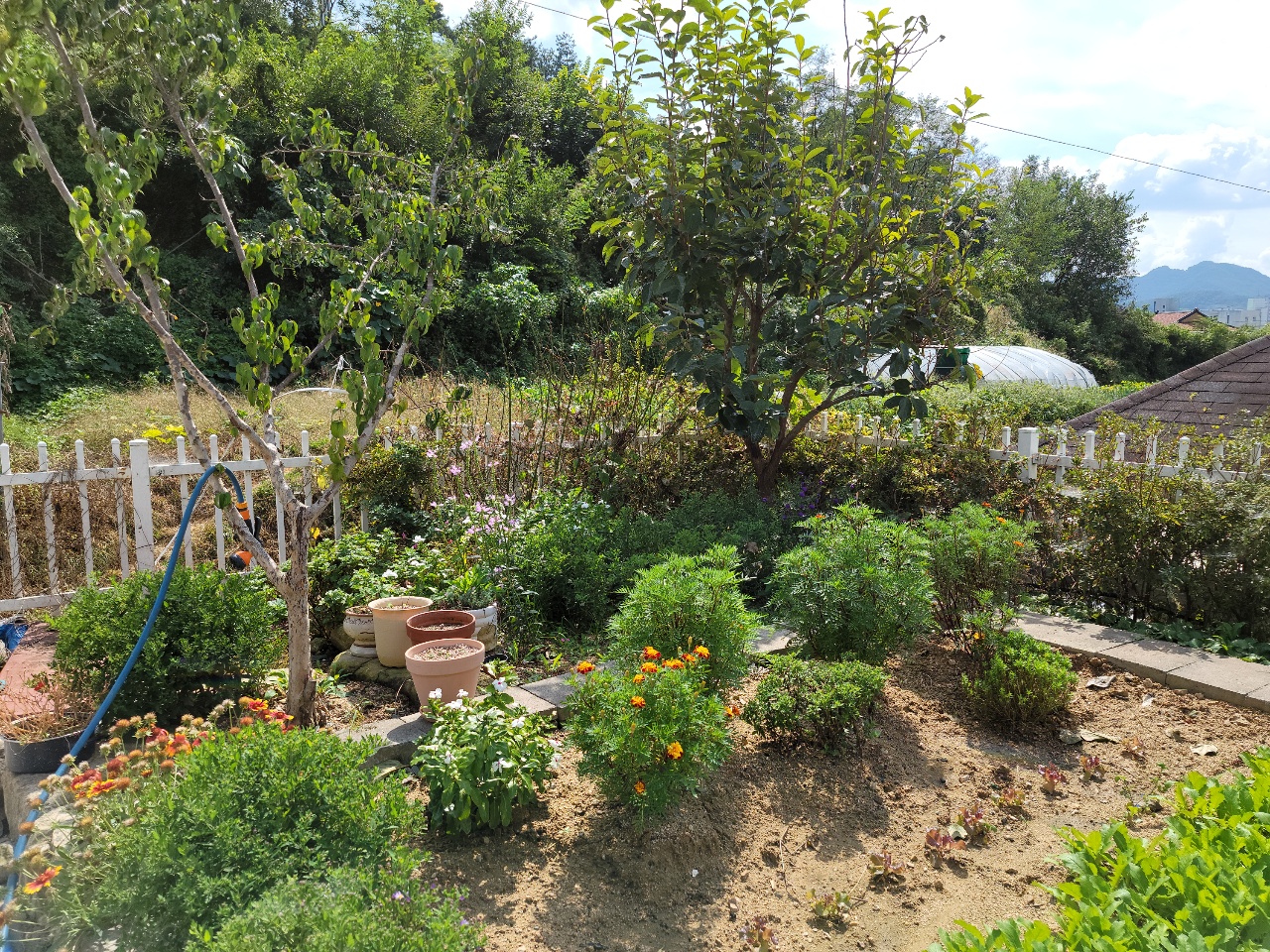 성주읍 2층 전원주택 매매 사진 - 29