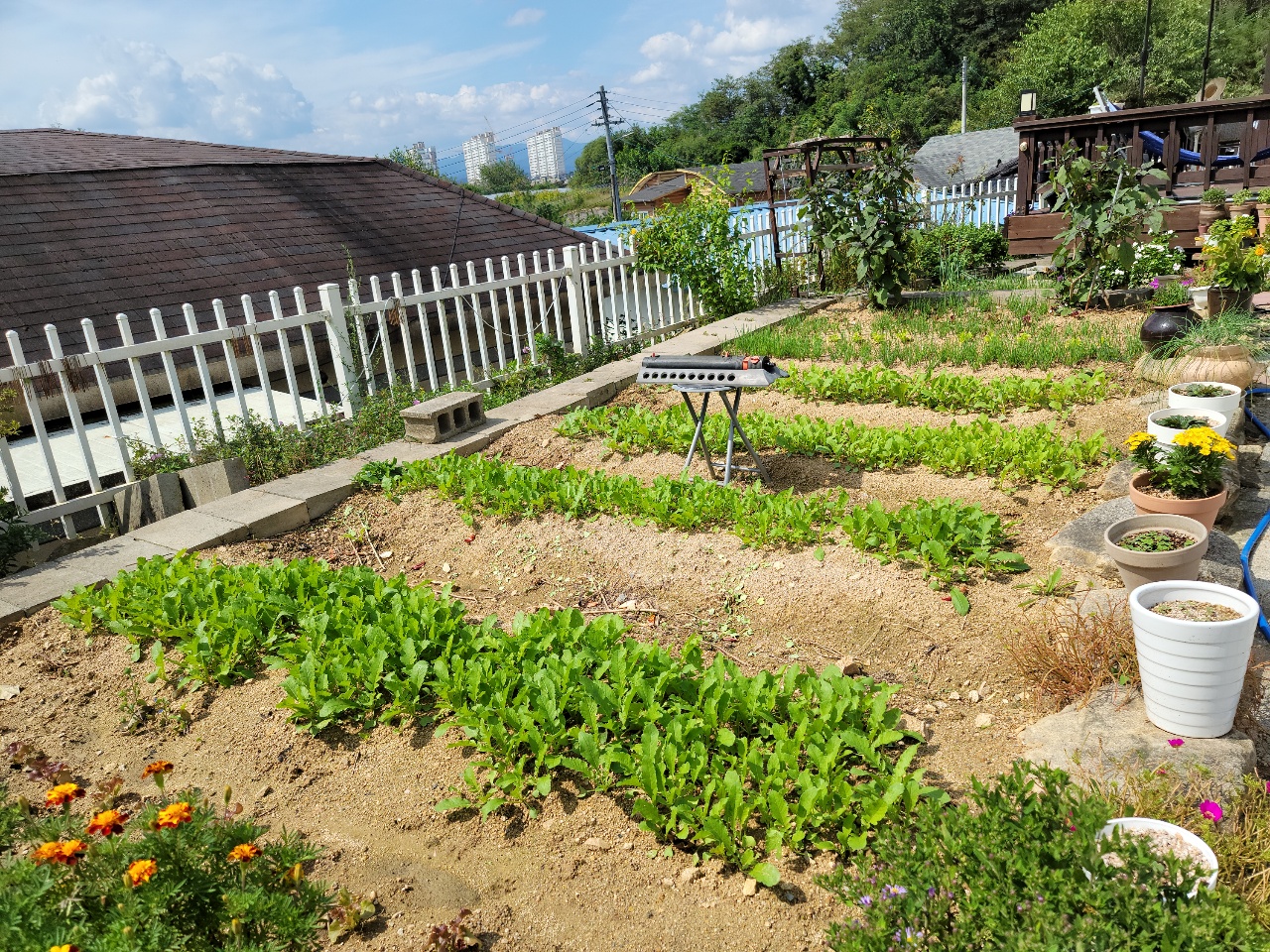 성주읍 2층 전원주택 매매 사진 - 30