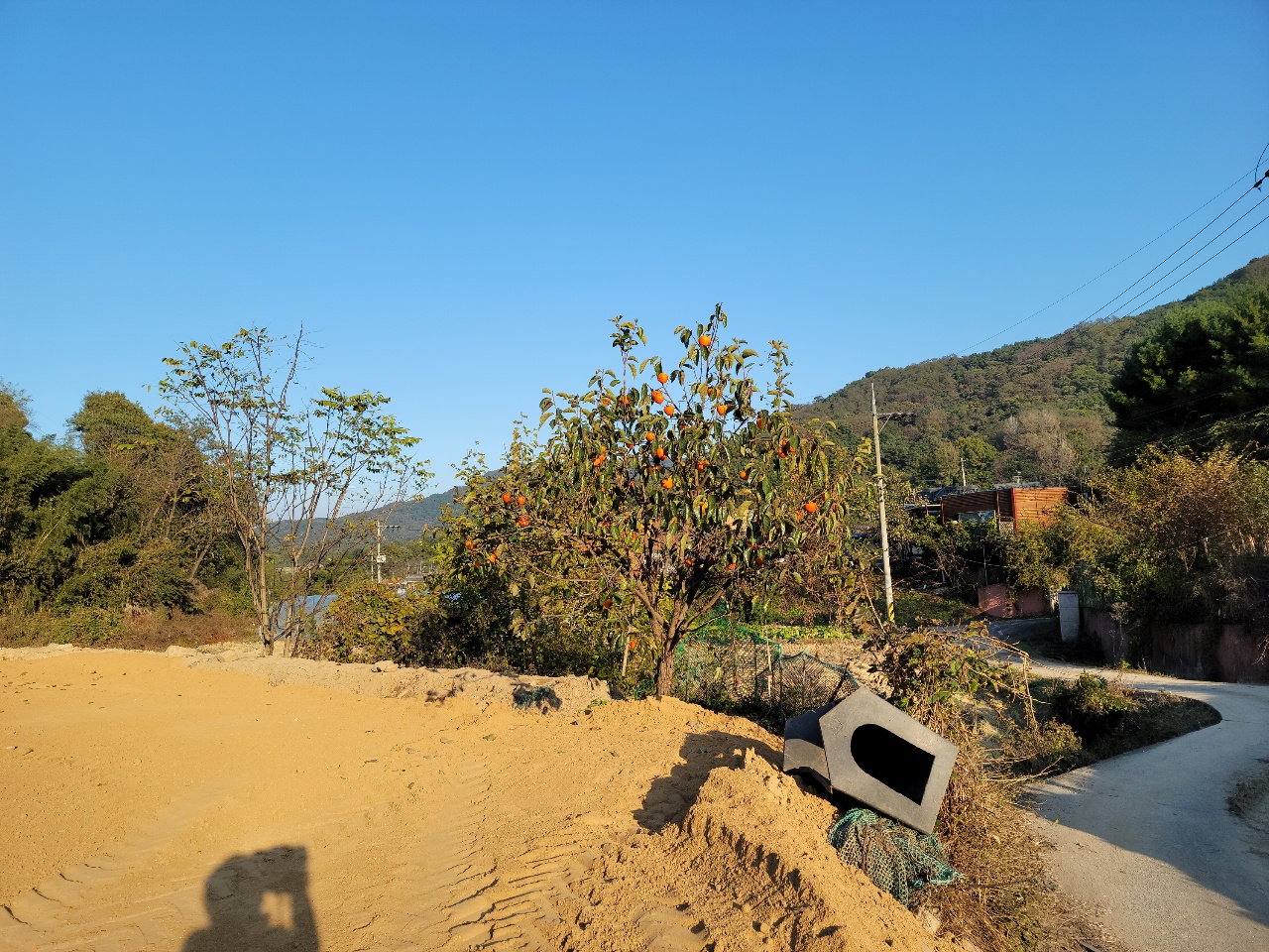 성주읍 주택지 텃밭매매 사진 - 3