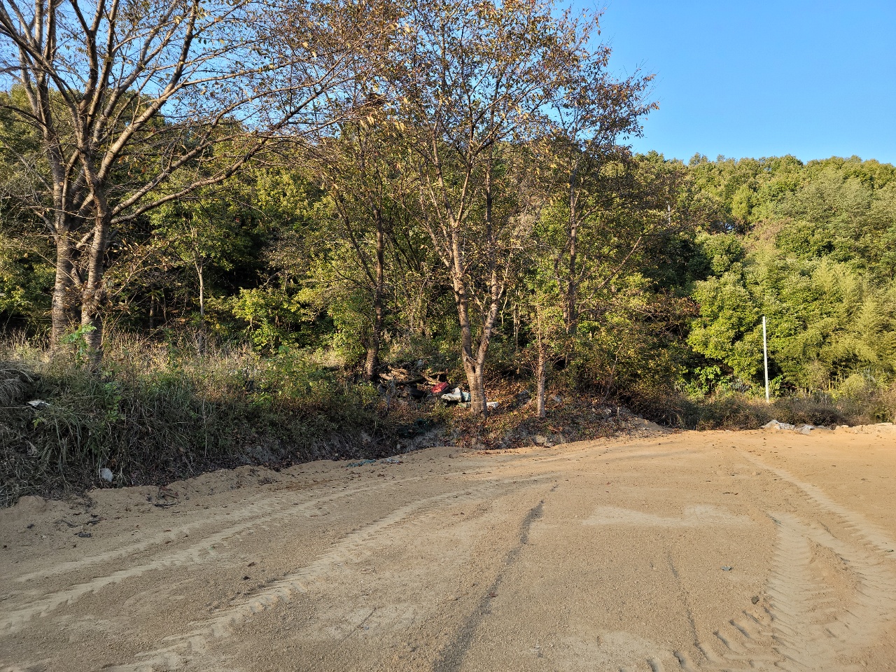 성주읍 주택지 텃밭매매 사진 - 13
