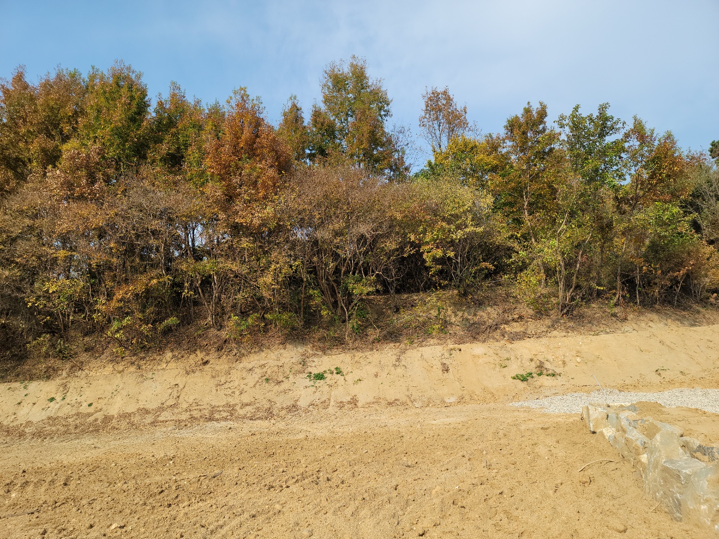 벽진면 야산자락 전원주택지 쉼터 사진 - 2