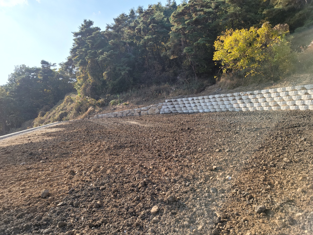 월항면 전원주택지 매매 사진 - 12