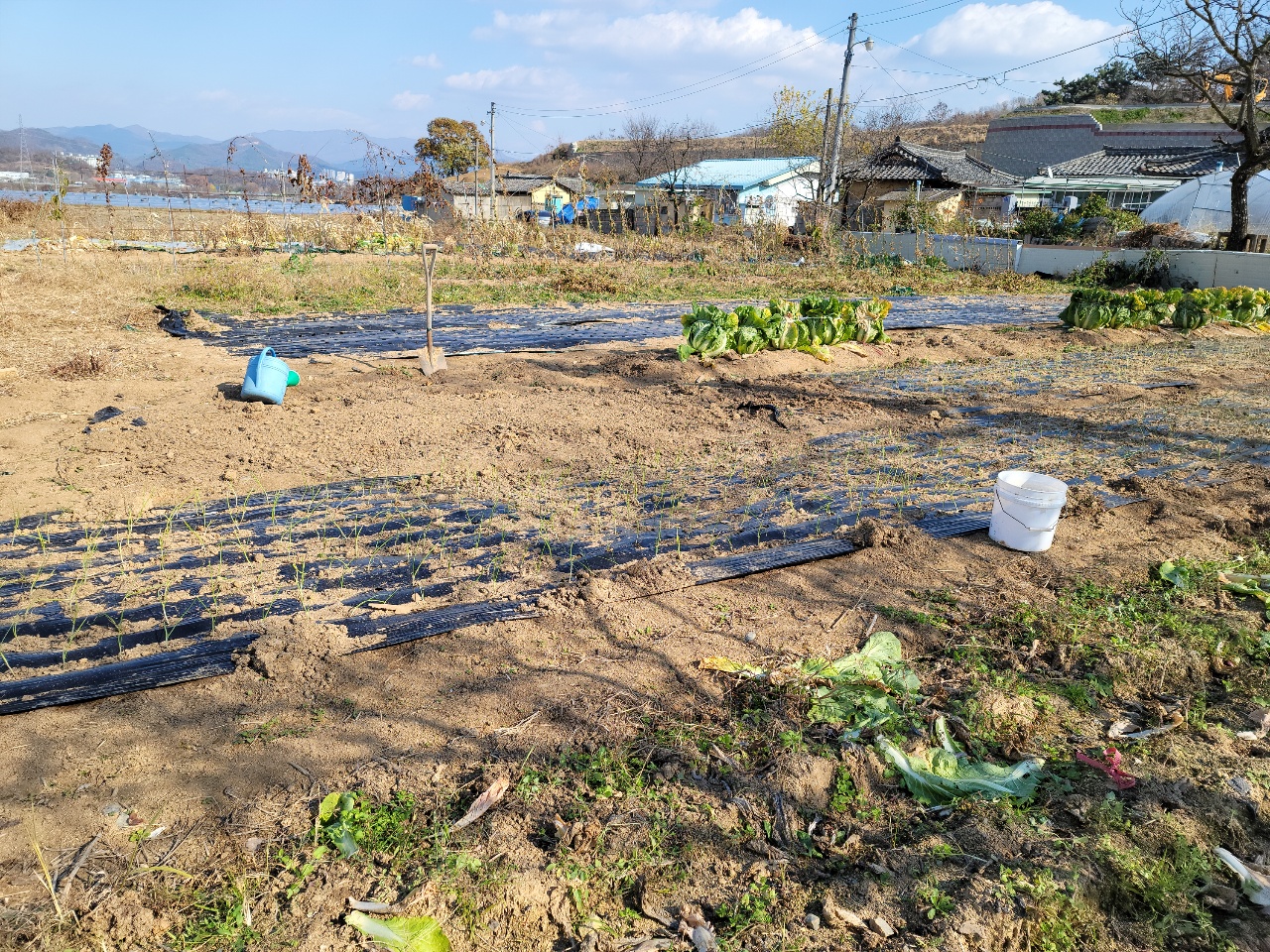칠곡군 대지+텃밭매매 사진 - 5