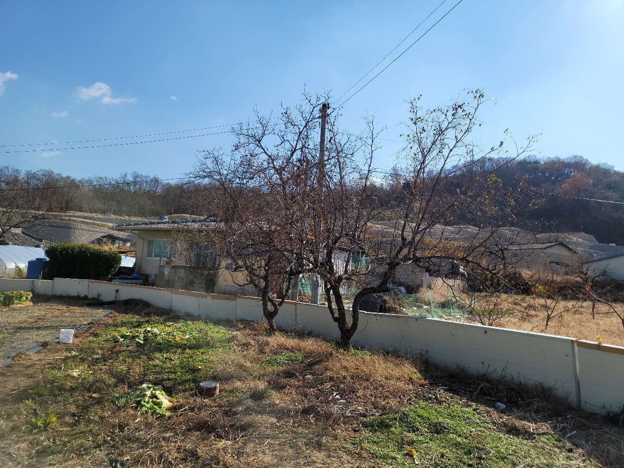 칠곡군 대지+텃밭매매 사진 - 6