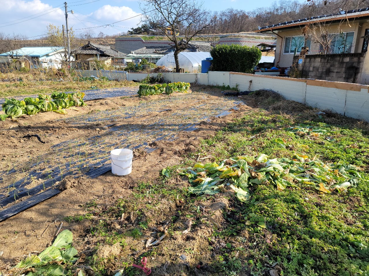 칠곡군 대지+텃밭매매 사진 - 7