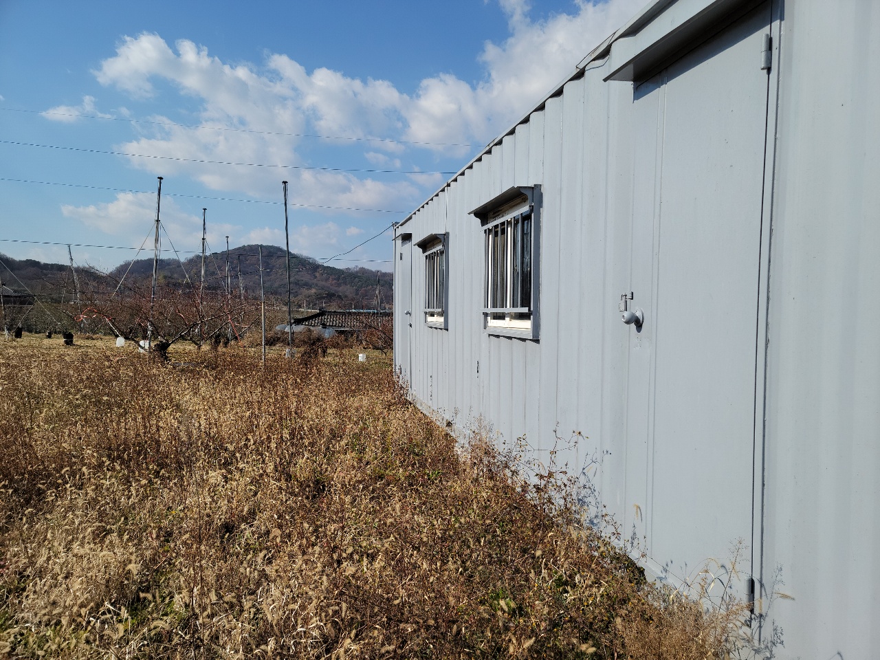 칠곡군 나대지 매매 사진 - 8