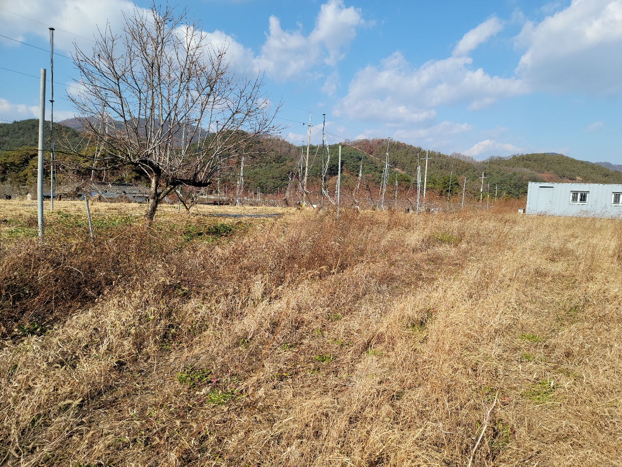 칠곡군 나대지 매매 사진 - 7