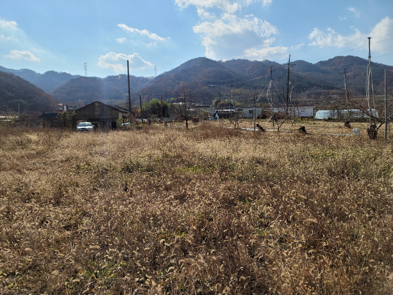 칠곡군 나대지 매매 사진 - 6