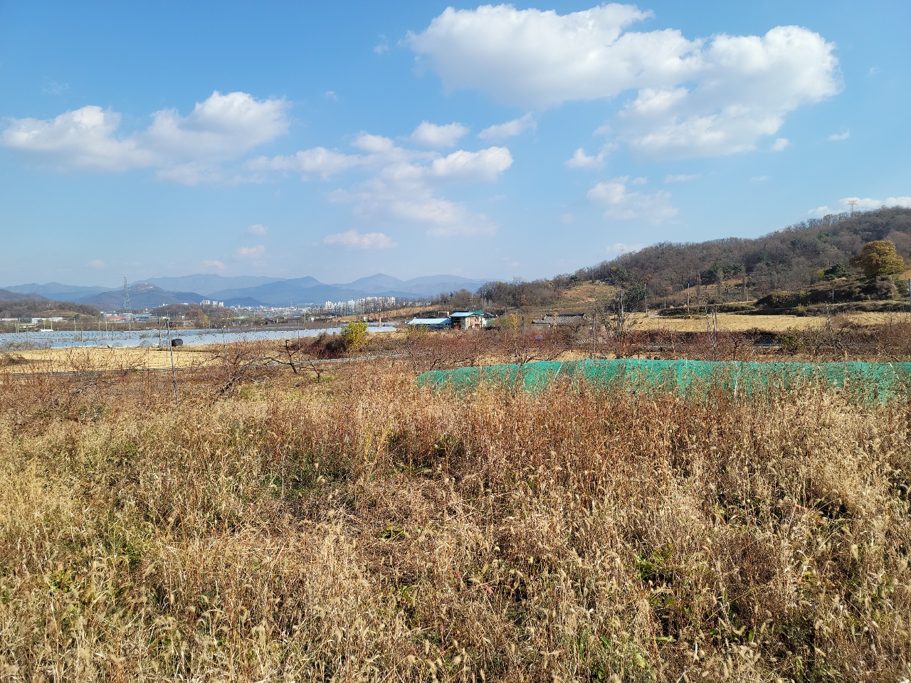 칠곡군 나대지 매매 사진 - 3