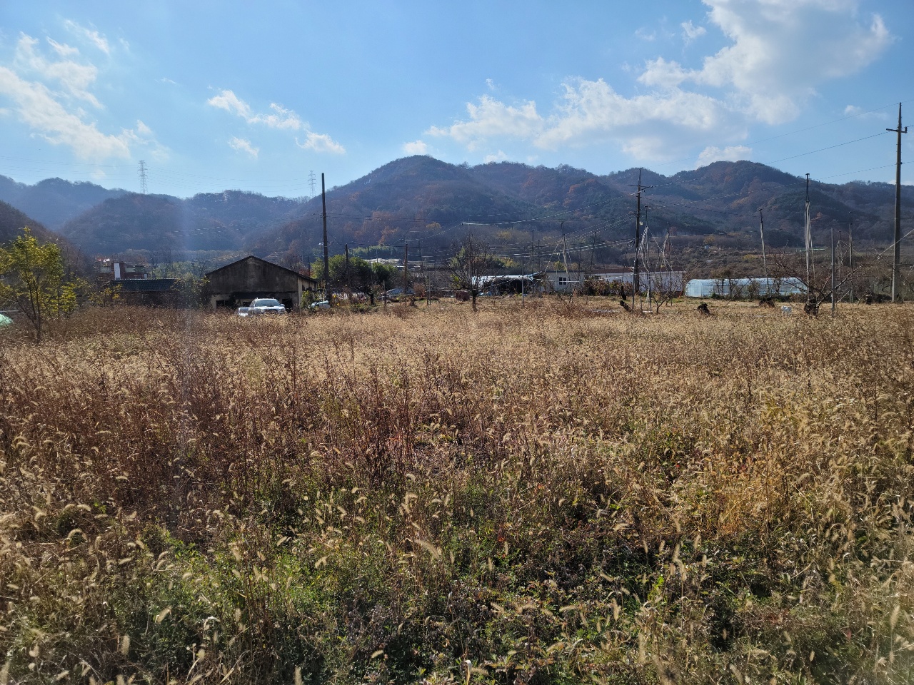 칠곡군 나대지 매매 사진 - 10