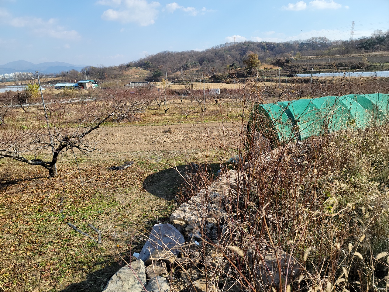 칠곡군 나대지 매매 사진 - 9
