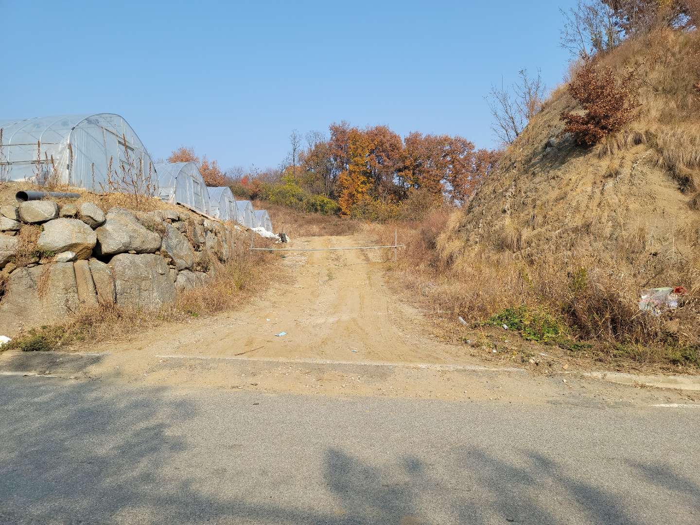 성주I.C 옆 다용도땅 매매 사진 - 7