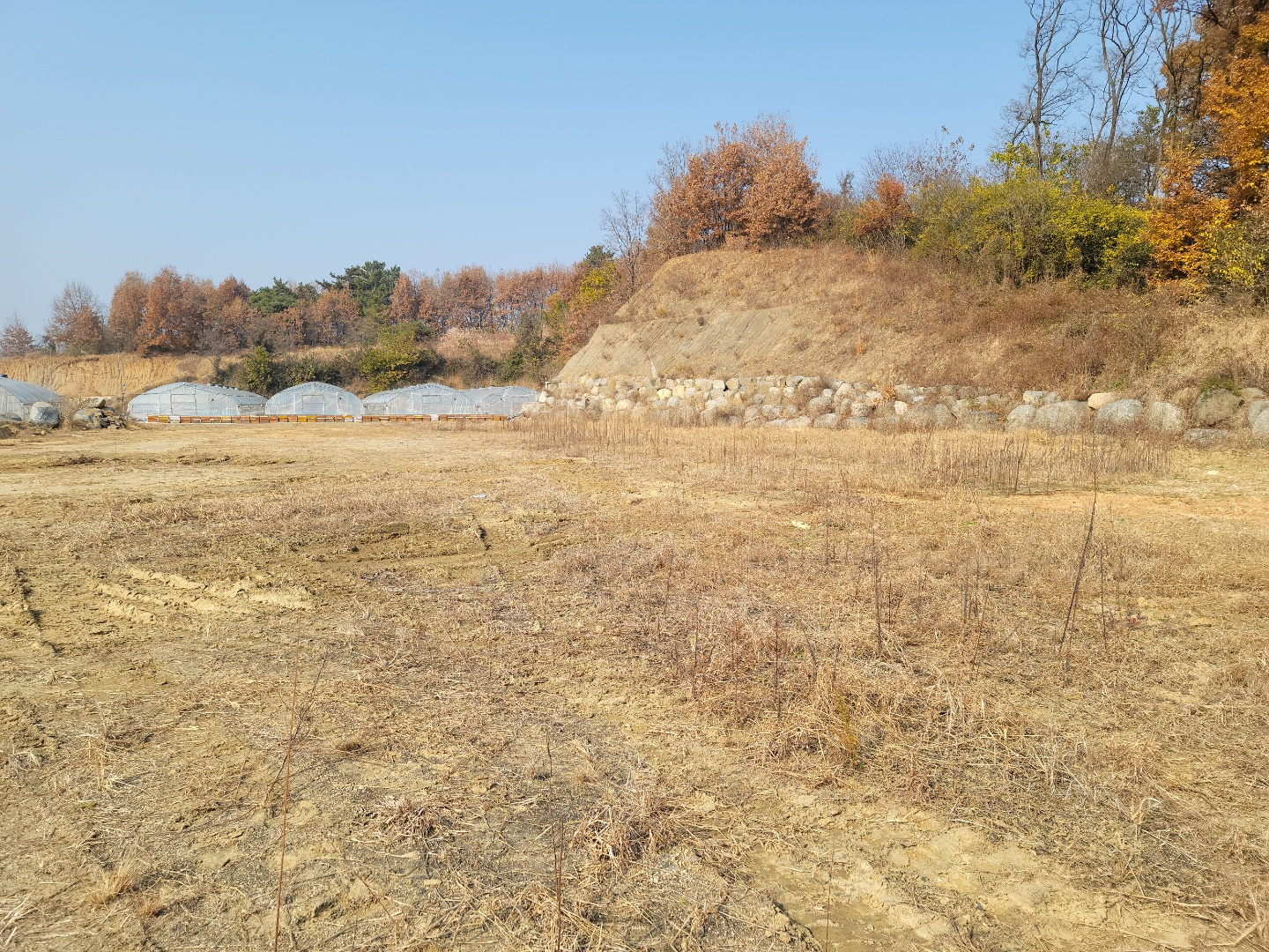 성주I.C 옆 다용도땅 매매 사진 - 4