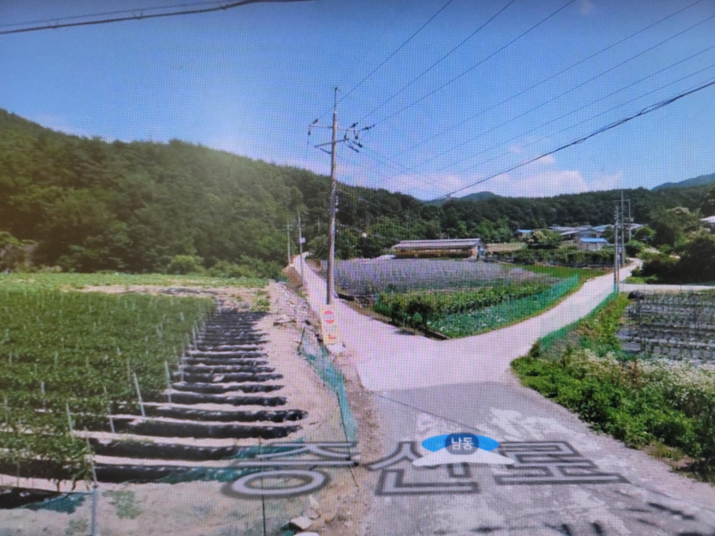 오미자 농장 매매 사진 - 5