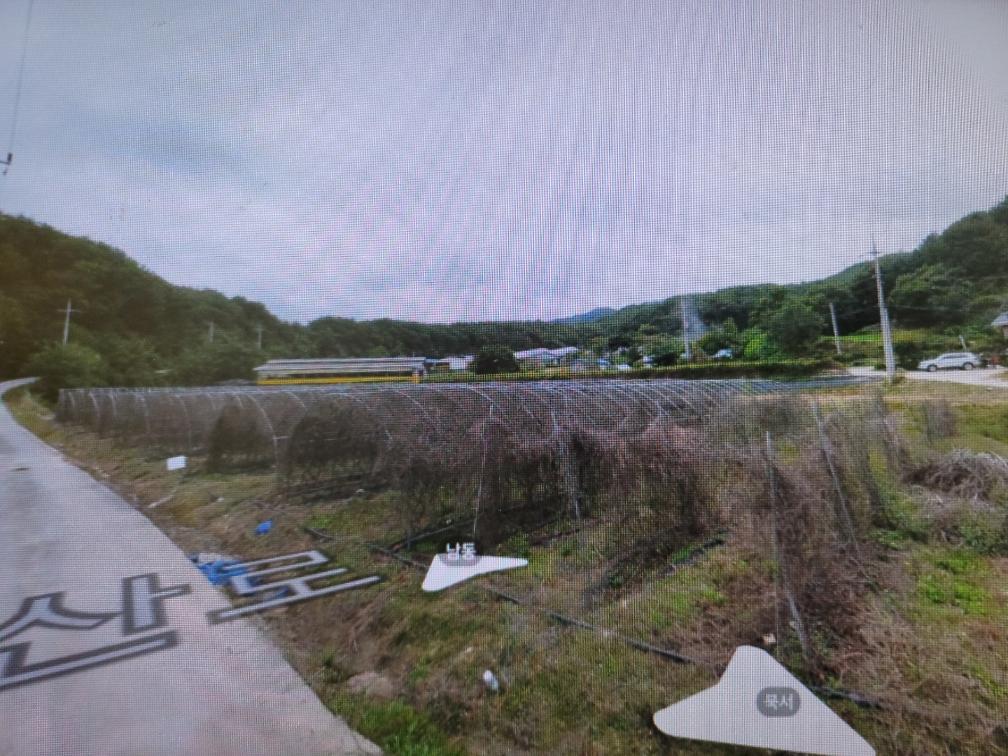 오미자 농장 매매 사진 - 3