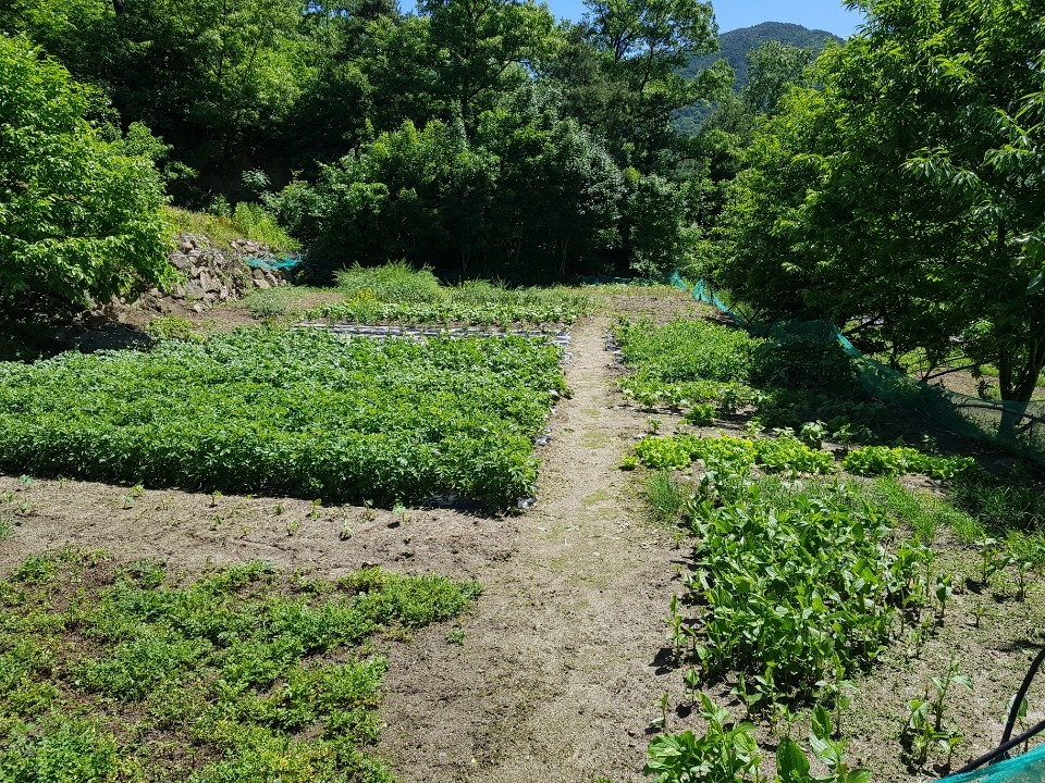 가천면 고급 2층전원주택 매매 사진 - 9