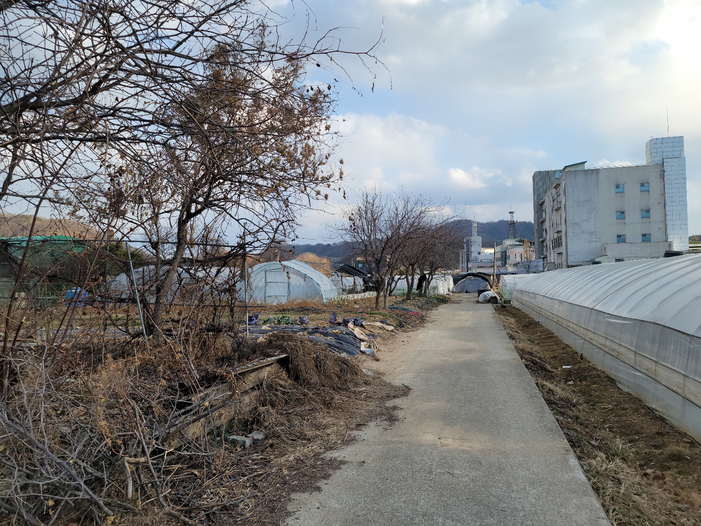 성주읍 작은땅 매매 사진 - 6