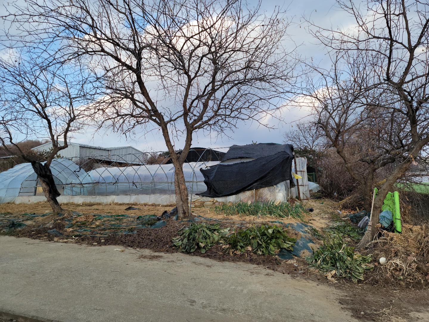 성주읍 작은땅 매매 사진 - 7